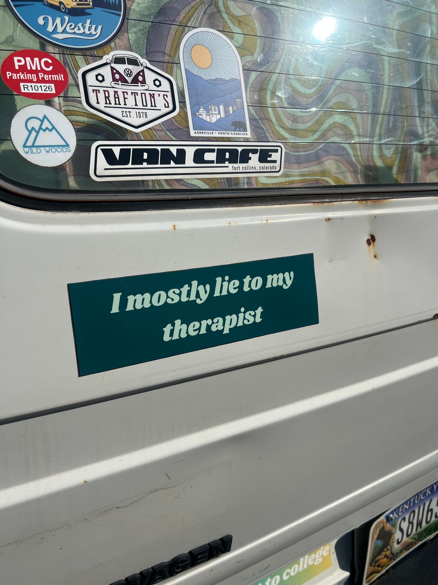 I mostly lie to my therapist