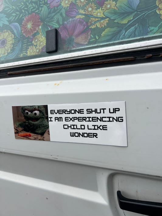 everyone shut up i'm experiencing childlike wonder sticker