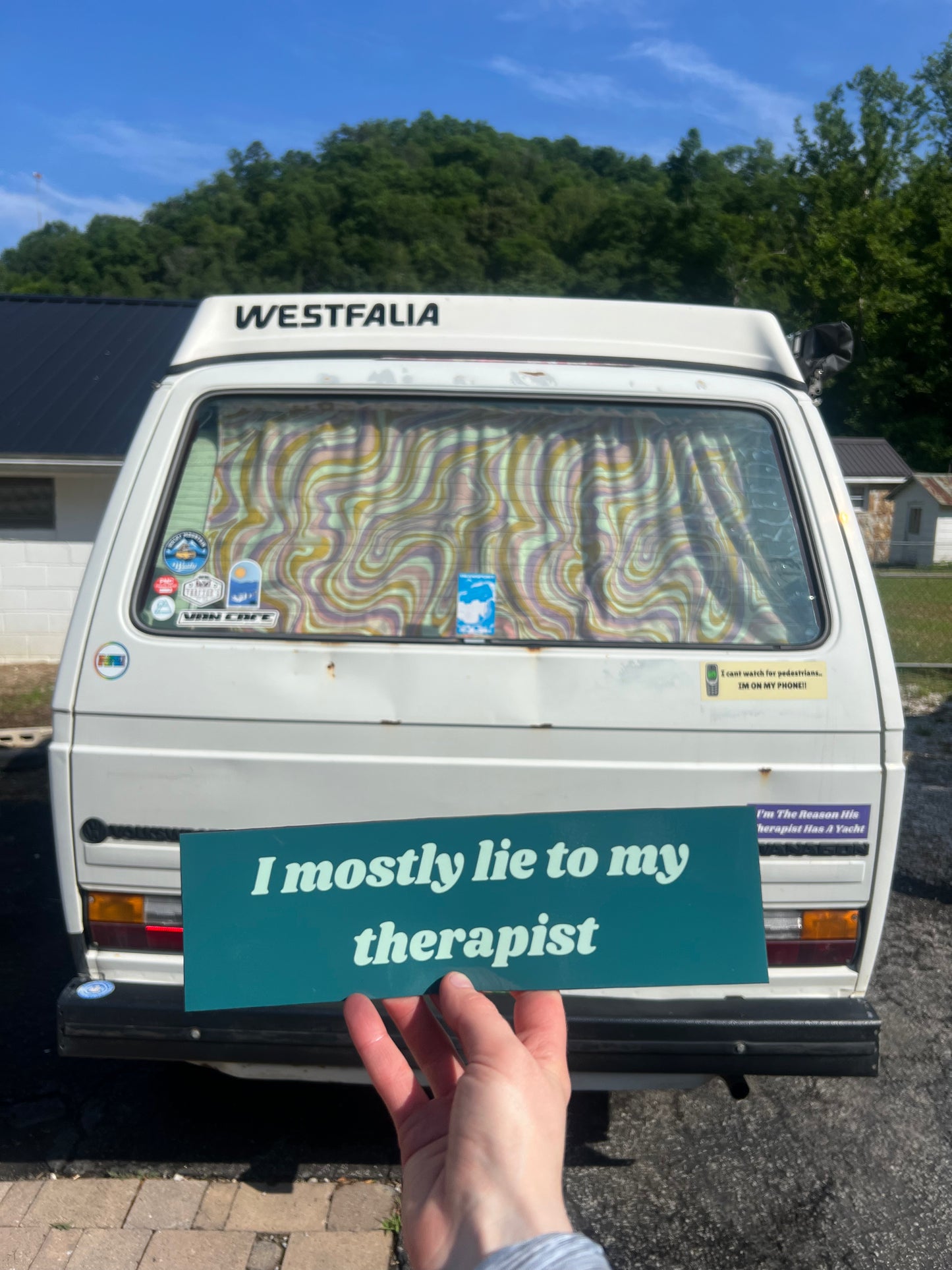 I mostly lie to my therapist