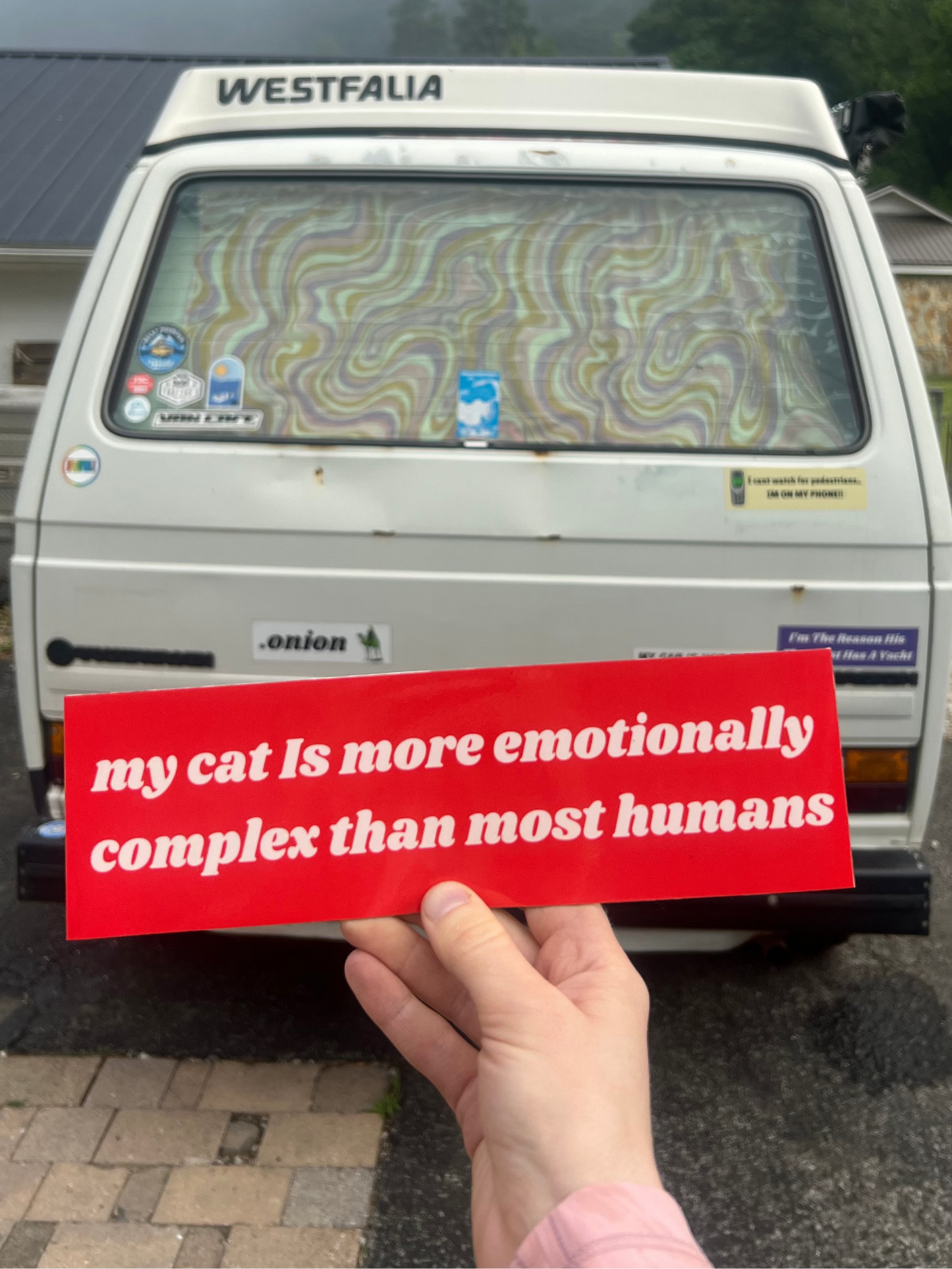 my cat is more emotionally complex than most humans