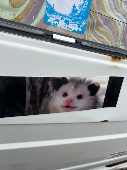 cute opossum with secret message sticker