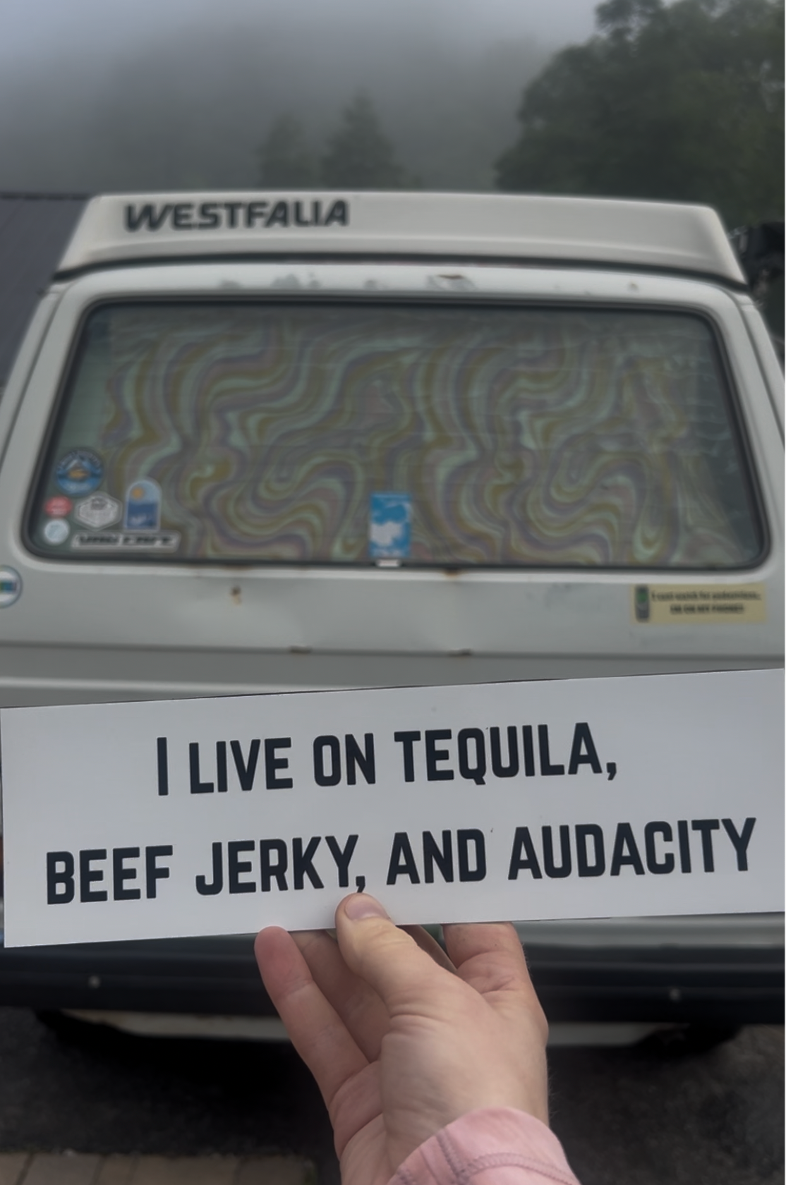 I live on beef jerky, tequila, and audacity sticker